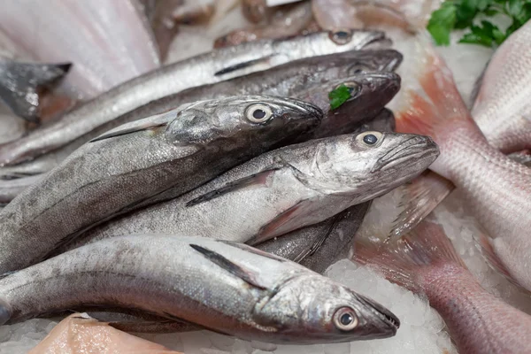 Frysta makrillar till försäljning på en marknad — Stockfoto