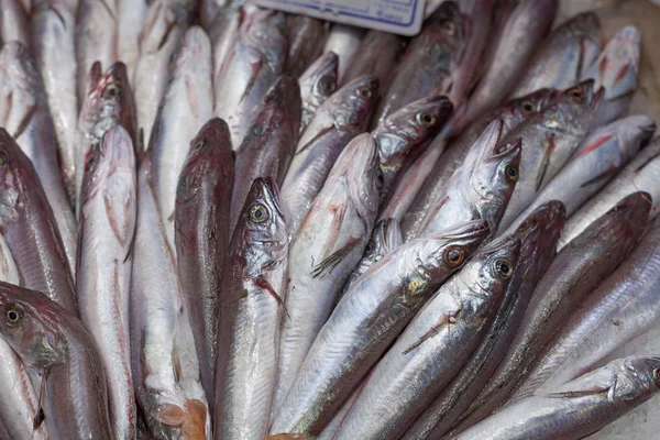 Heap of frozen horse mackerels for sale — Stock Photo, Image