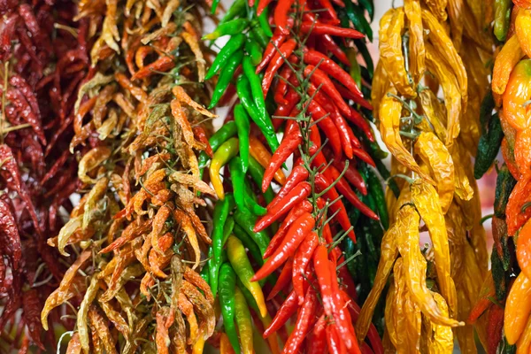 Reihen von verschiedenen Chilischoten hängen zusammen in Trauben am Marktstand, la Boqueria Markt, Barcelona, Katalonien, Spanien — Stockfoto