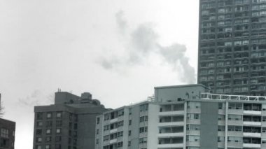 Toronto kınamak kışın