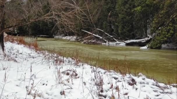 Зимний поток воды — стоковое видео