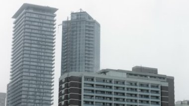 Toronto kınamak kışın