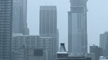 Toronto kınamak kışın