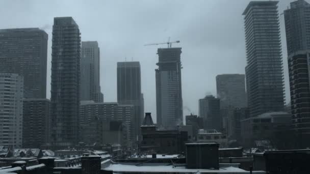 Сніг вибуху в winterstorm в центрі міста Торонто — стокове відео