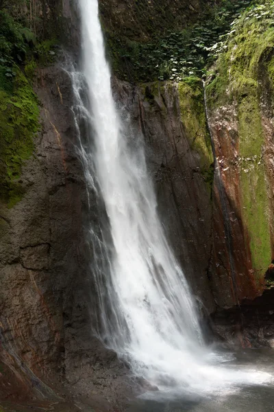 La fortuna Wasserfall in einem Wald — Stockfoto