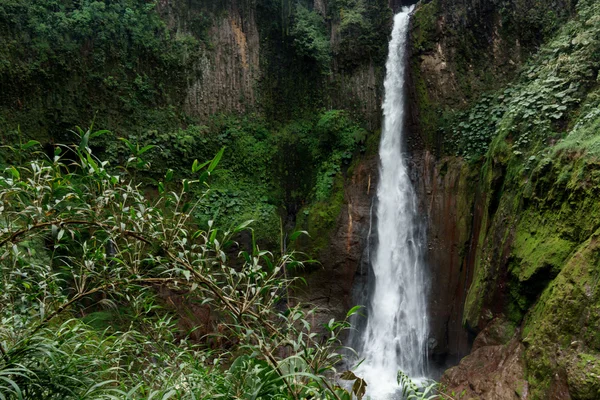 Cachoeira La Fortuna em uma floresta — Fotografia de Stock