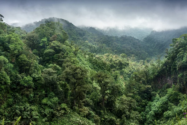 Montanhas em tempo nebuloso — Fotografia de Stock