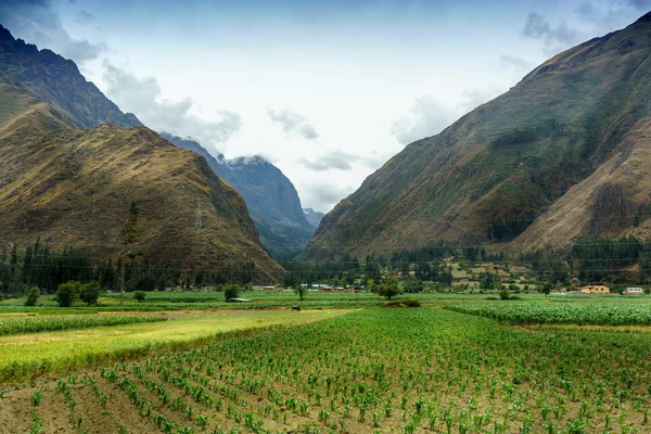 Coltivazione in un campo con catena montuosa — Foto Stock