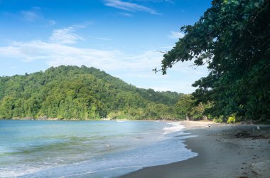 Plajda sörf doğal görünümü