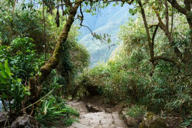 Merdiven için Machu Picchu Inca izinde