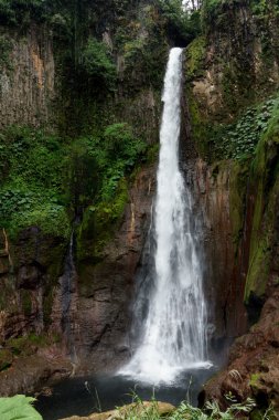 La Fortuna şelale bir ormanda