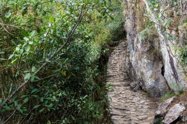 Machu Picchu Harabeleri ile geçen Inca iz