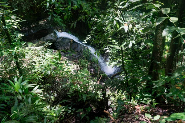 Waterval gooien in het bos — Stockfoto