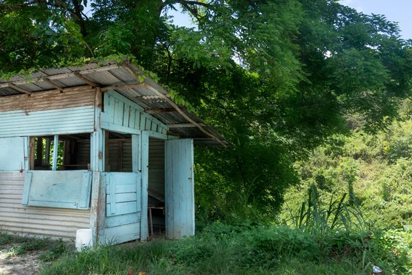 Cabane dans la forêt verte — Photo