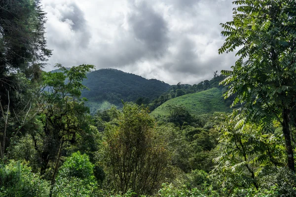 Mountains against cloudy sky — Stock Photo, Image