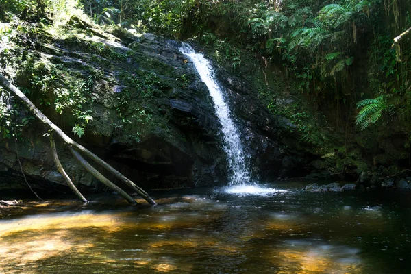 Cachoeira jogando na floresta — Fotografia de Stock