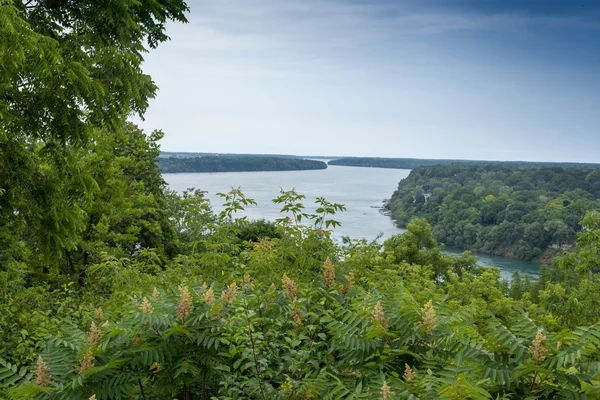 Rivière en forêt contre ciel — Photo