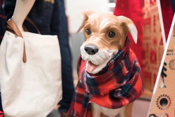 Manequim de cão exibindo roupas de cão — Fotografia de Stock