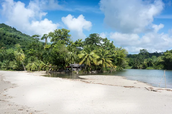Екзотичний пляж з пальмами — стокове фото