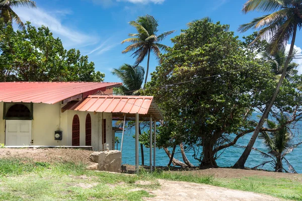 Tourist resort and trees on the coast — Stock Photo, Image