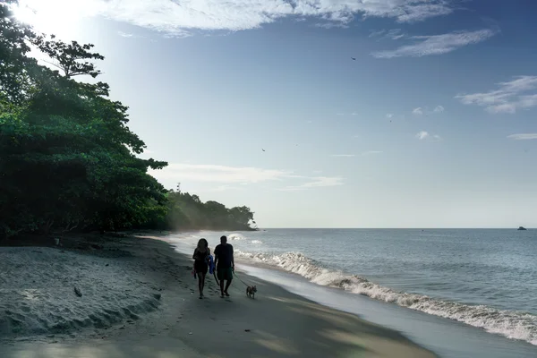 Coppia con cane che cammina sulla spiaggia sabbiosa — Foto Stock