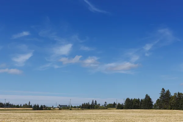 Blick auf das Bauernhaus auf dem Feld — Stockfoto