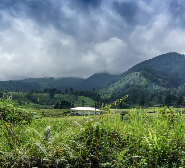 Huis op het veld met de bergen op de achtergrond — Stockfoto