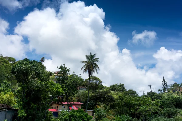 Houses on hill against cumulus clouds