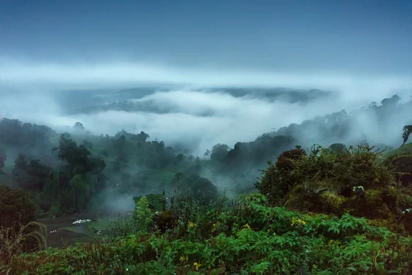 霧の山 — ストック写真