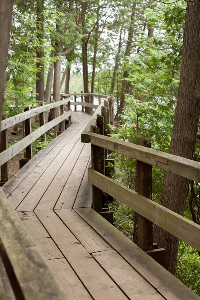 Trä strandpromenaden i skogen — Stockfoto