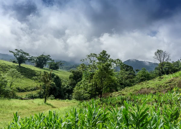 Montagne contro cielo nuvoloso — Foto Stock