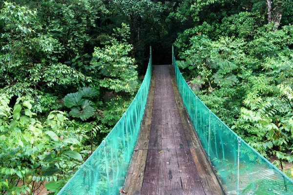 Loopbrug dicht bos passeren — Stockfoto