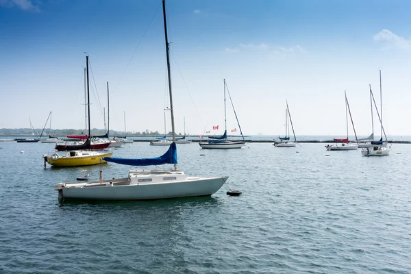Sail boats moored in harbour — Stock Photo, Image