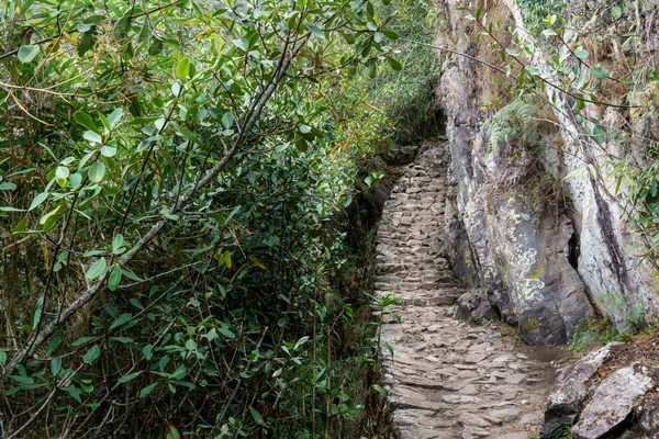 Inca trail passing through the ruins of Machu Picchu — Stock Photo, Image