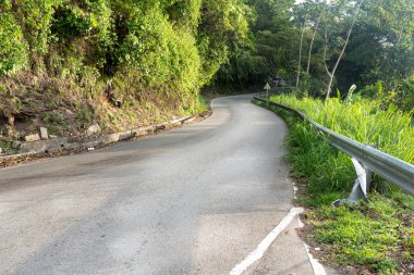 Ormanın içinden geçen yol