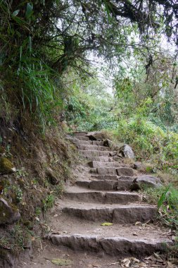 Merdiven için Machu Picchu Inca izinde 
