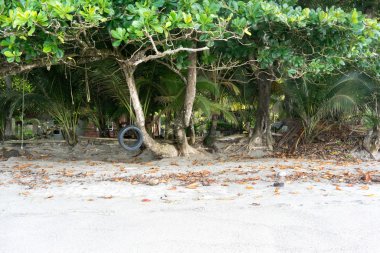 Deniz kıyısı lastik salıncakta