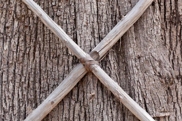 Ствол дерева со скрещенными палками — стоковое фото