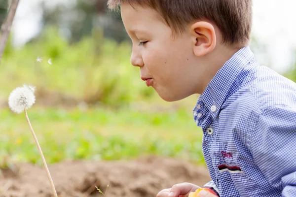 Boy blowing seeds off dandelion — Stock Photo, Image