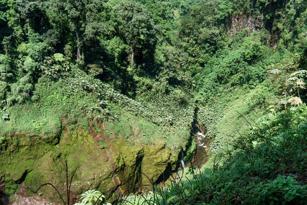 Pedras cobertas por musgo em uma floresta — Fotografia de Stock