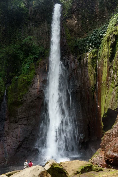 Cachoeira La Fortuna em uma floresta — Fotografia de Stock