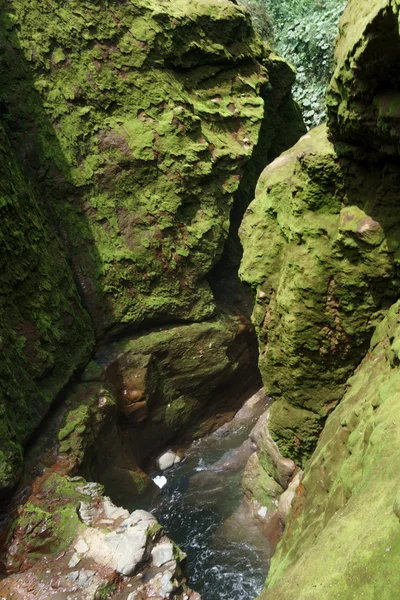 Bach fließt durch Felsen in einem Wald — Stockfoto