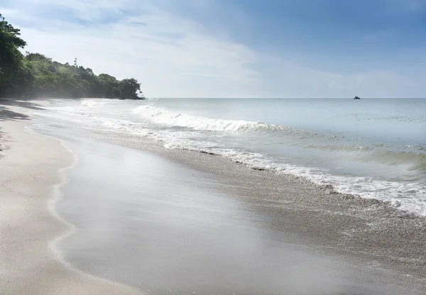 Wysoka fala na plaży — Zdjęcie stockowe