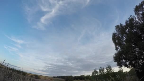 Nuvole di timelapse sopra il campo verde e palude con alberi — Video Stock