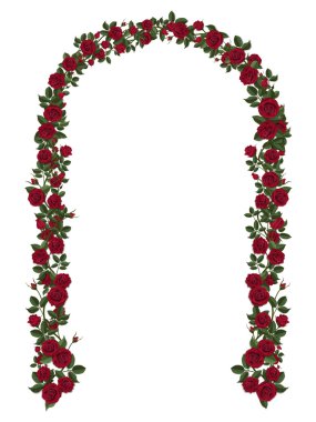 Arch kırmızı gülleri sarmaşık