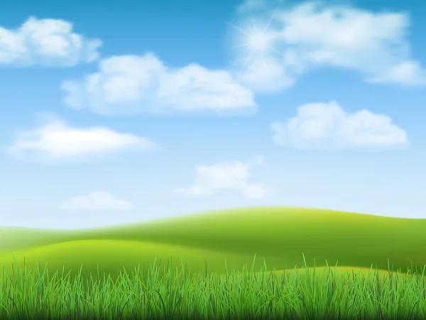 Natur landskap sky och gräs — Stock vektor