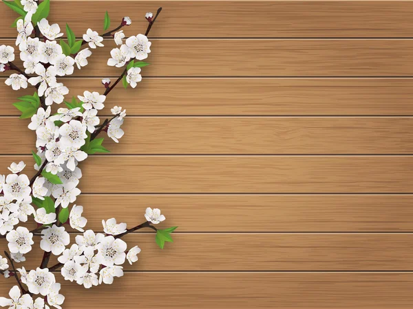Branche de cerisier de printemps sur fond brun vieux bois — Image vectorielle