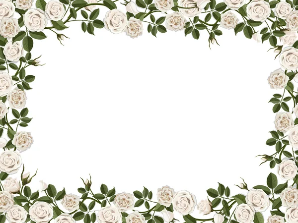 Borde cuadrado de rosas blancas — Archivo Imágenes Vectoriales