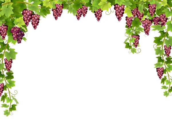 Rode druif floral frame — Stockvector