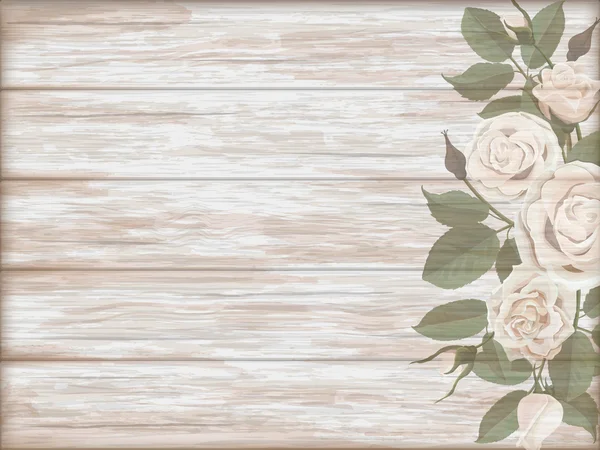 Fondo de madera vintage brote de rosa blanca — Vector de stock